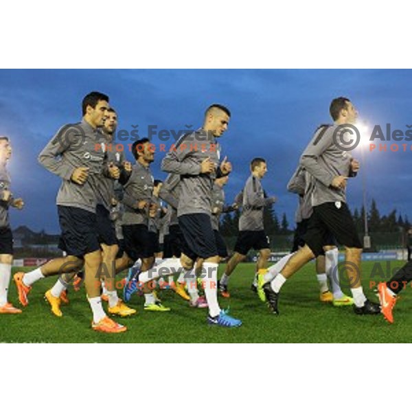 Aljaz Struna of Slovenia National football team during practice session at ZAK stadium, Ljubljana on November 10, 2014
