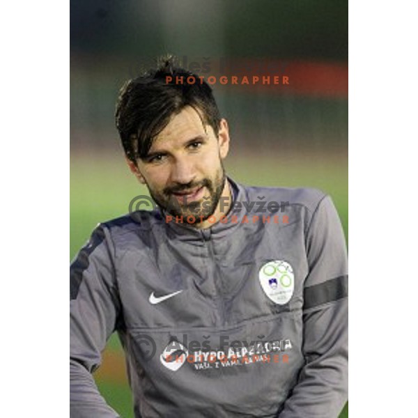 Dalibor Stevanovic of Slovenia National football team during practice session at ZAK stadium, Ljubljana on November 10, 2014