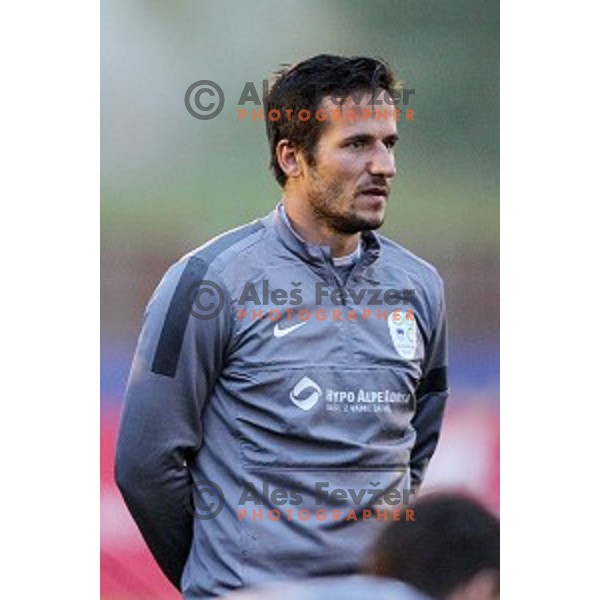 Zlatan Ljubijankic of Slovenia National football team during practice session at ZAK stadium, Ljubljana on November 10, 2014