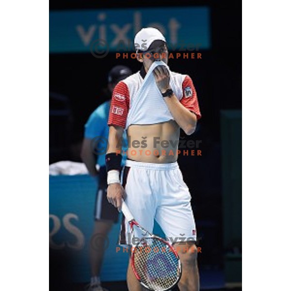 Kei Nishikori of Japan at ATP finals tennis tournament in O2 Arena, London, Great Britain, November 11, 2013 