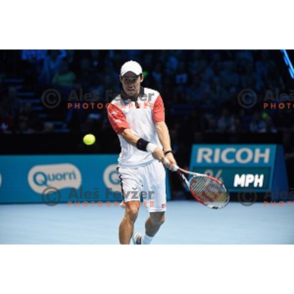 Kei Nishikori of Japan at ATP finals tennis tournament in O2 Arena, London, Great Britain, November 11, 2013 