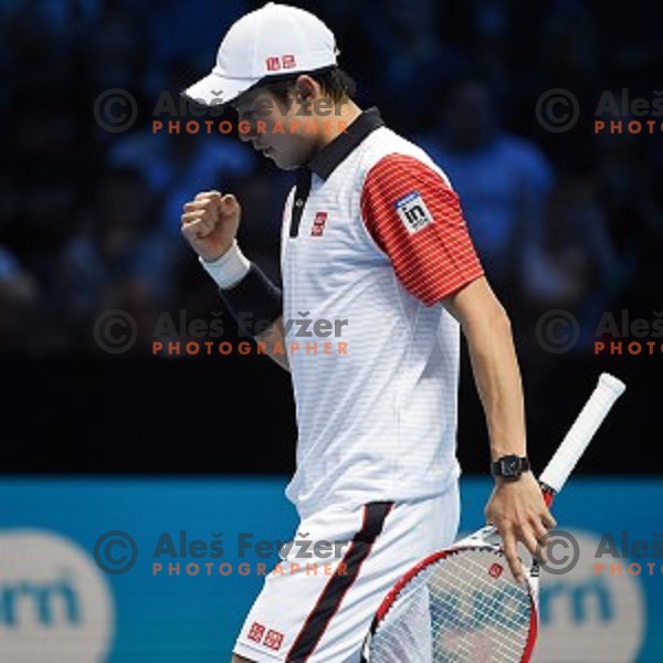 Kei Nishikori of Japan at ATP finals tennis tournament in O2 Arena, London, Great Britain, November 11, 2013 