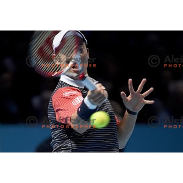 Kei Nishikori of Japan at ATP finals tennis tournament in O2 Arena, London, Great Britain, November 11, 2013 