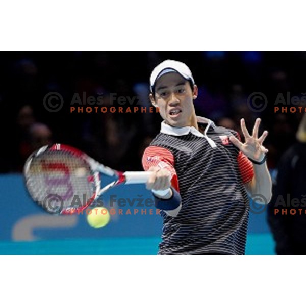 Kei Nishikori of Japan at ATP finals tennis tournament in O2 Arena, London, Great Britain, November 11, 2013 