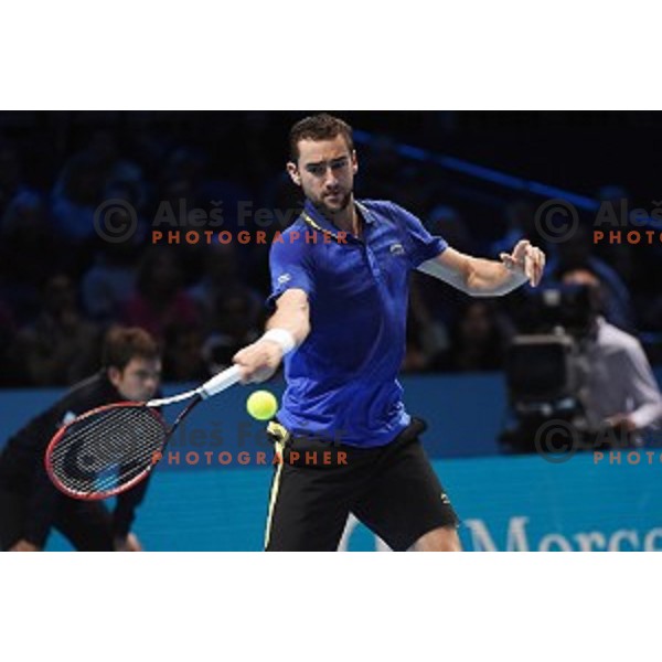 Marin Cilic (CRO) at ATP finals tennis tournament in O2 Arena, London, Great Britain, November 11, 2013 