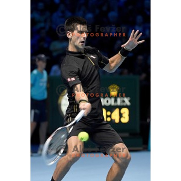 Novak Djokovic of Serbia at ATP finals tennis tournament in O2 Arena, London, Great Britain, November 11, 2013 