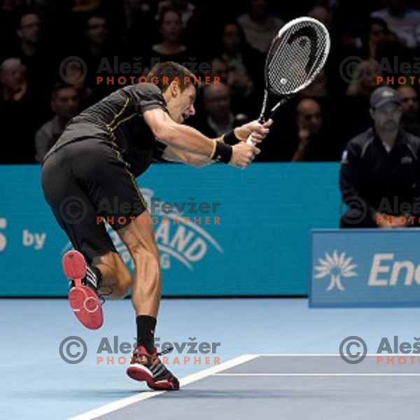 Novak Djokovic of Serbia at ATP finals tennis tournament in O2 Arena, London, Great Britain, November 11, 2013 