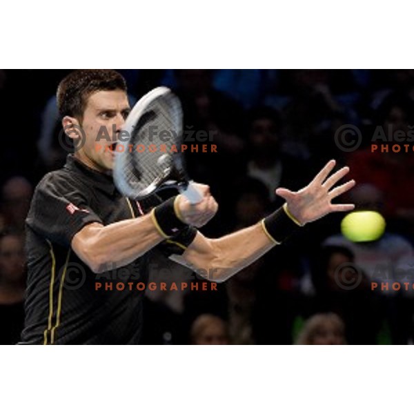 Novak Djokovic of Serbia at ATP finals tennis tournament in O2 Arena, London, Great Britain, November 11, 2013 