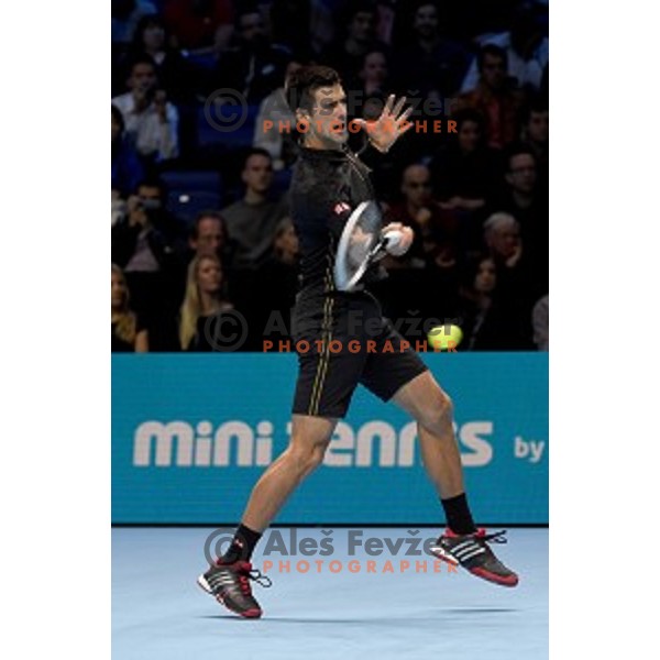 Novak Djokovic of Serbia at ATP finals tennis tournament in O2 Arena, London, Great Britain, November 11, 2013 
