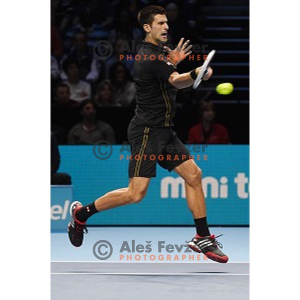 Novak Djokovic of Serbia at ATP finals tennis tournament in O2 Arena, London, Great Britain, November 11, 2013 