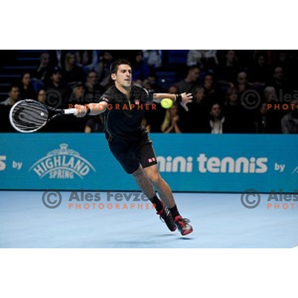 Novak Djokovic of Serbia at ATP finals tennis tournament in O2 Arena, London, Great Britain, November 11, 2013 