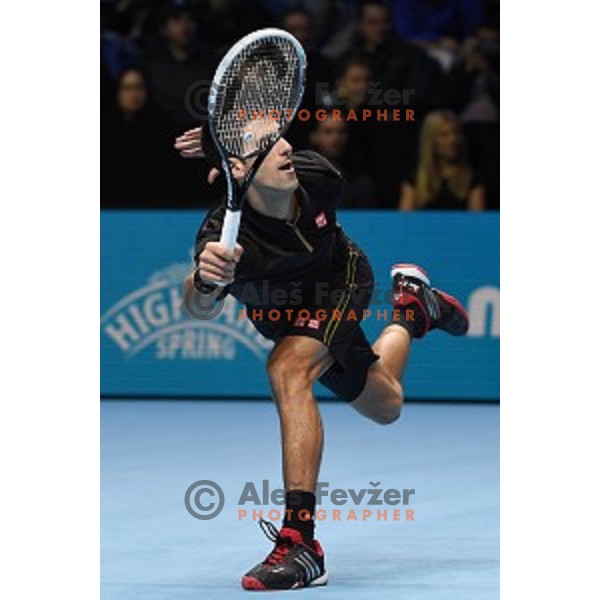 Novak Djokovic of Serbia at ATP finals tennis tournament in O2 Arena, London, Great Britain, November 11, 2013 