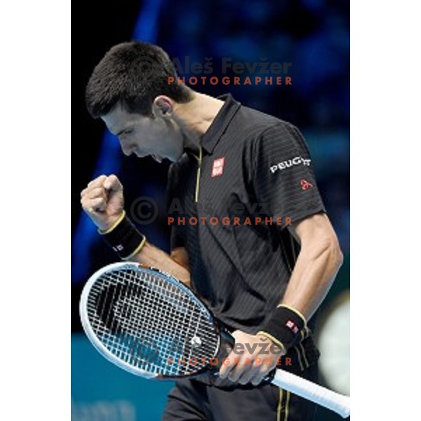 Novak Djokovic of Serbia at ATP finals tennis tournament in O2 Arena, London, Great Britain, November 11, 2013 