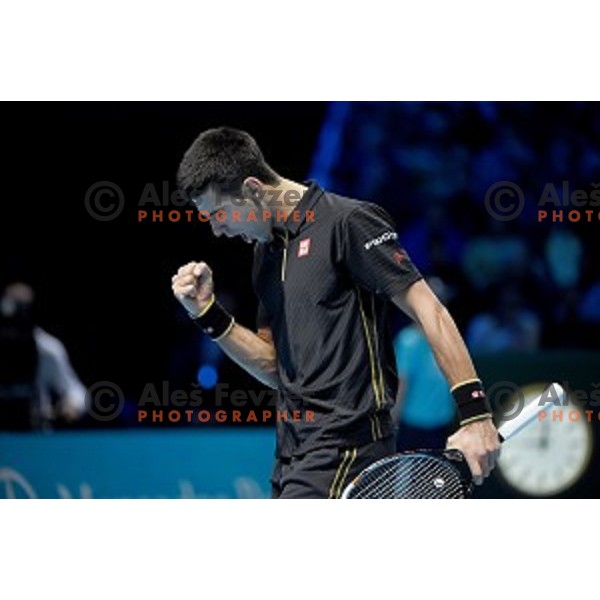Novak Djokovic of Serbia at ATP finals tennis tournament in O2 Arena, London, Great Britain, November 11, 2013 