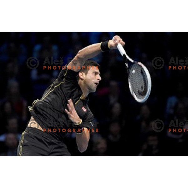 Novak Djokovic of Serbia at ATP finals tennis tournament in O2 Arena, London, Great Britain, November 11, 2013 