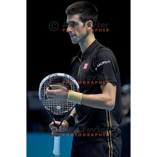Novak Djokovic of Serbia at ATP finals tennis tournament in O2 Arena, London, Great Britain, November 11, 2013 