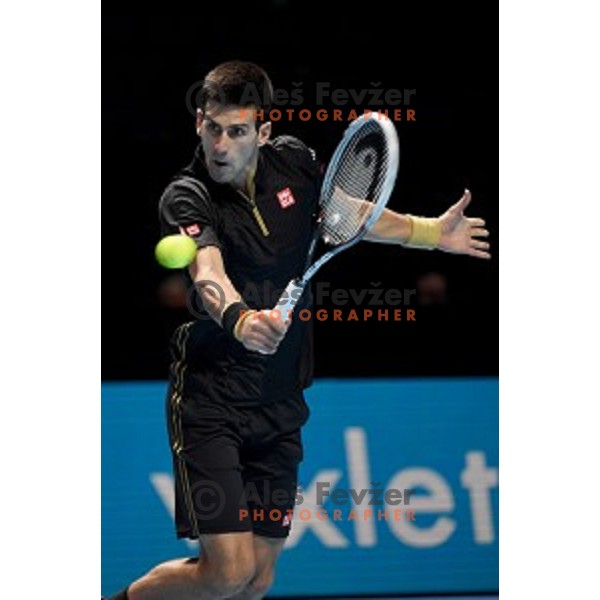 Novak Djokovic of Serbia at ATP finals tennis tournament in O2 Arena, London, Great Britain, November 11, 2013 