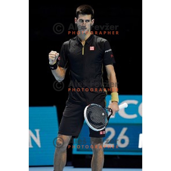 Novak Djokovic of Serbia at ATP finals tennis tournament in O2 Arena, London, Great Britain, November 11, 2013 