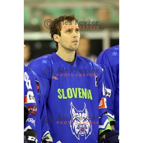 of Slovenia at ice-hockey match Slovenia-Belarus at Euro Ice Hockey Challenge Tournament in Hala Tivoli, Ljubljana, Slovenia on November 7, 2014