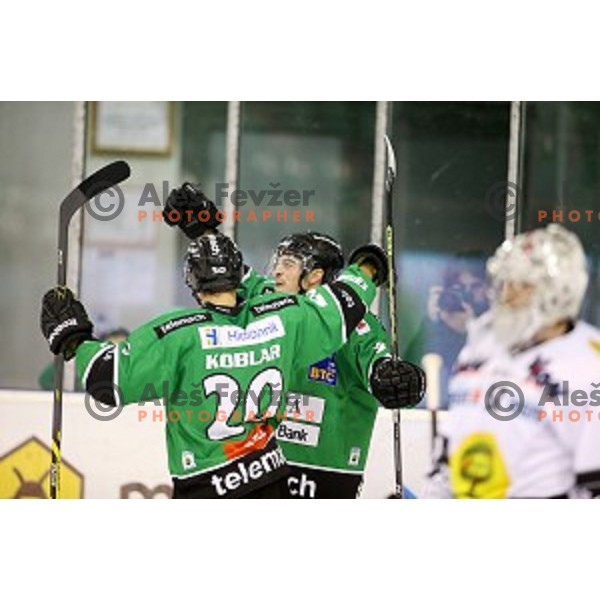 of Olimpija celebrates goal during EBEL League Season 2014/15 ice-hockey match between HDD Telemach Olimpija and Dornbirn, played in Tivoli Hall, Ljubljana, Slovenia, November 14, 2014