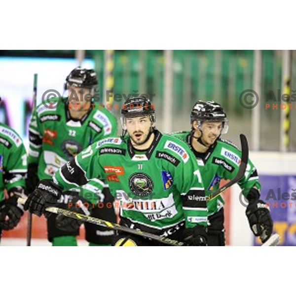Ziga Pesut of Telemach Olimpija in action during EBEL League Season 2014/15 ice-hockey match between HDD Telemach Olimpija and Dornbirn, played in Tivoli Hall, Ljubljana, Slovenia, November 14, 2014