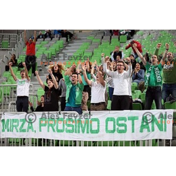 of Union Olimpija in action during ABA league basketball match between Union Olimpija Ljubljana and Igokea Aleksandrovac, played in Stozice, Ljubljana, Slovenia on November 14, 2014