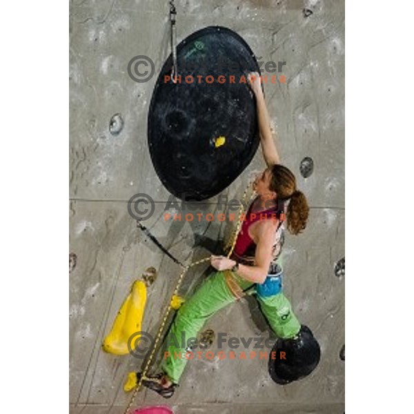during final of IFSC Climbing World Cup Final 2014 in Zlato polje hall, Kranj, Slovenia, on November 16, 2014