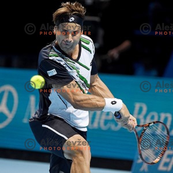 David Ferrer (ESP)at ATP finals tennis tournament in O2 Arena, London, Great Britain, November 16, 2013