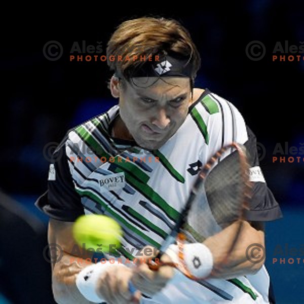 Andy Murray (GB) at ATP finals tennis tournament in O2 Arena, London, Great Britain, November 11, 2013