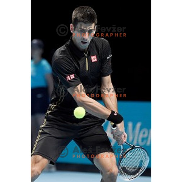 Novak Djokovic (SRB) winner of ATP finals tennis tournament in O2 Arena, London, Great Britain, November 16, 2013