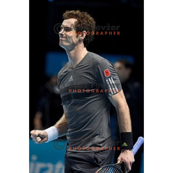 Andy Murray (GB) at ATP finals tennis tournament in O2 Arena, London, Great Britain, November 16, 2013