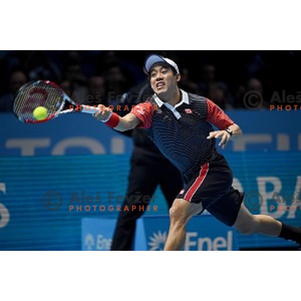 Kei Nishikori (JPN)at ATP finals tennis tournament in O2 Arena, London, Great Britain, November 16, 2013