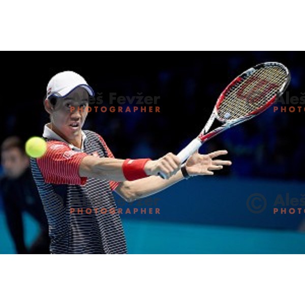 Kei Nishikori (JPN)at ATP finals tennis tournament in O2 Arena, London, Great Britain, November 16, 2013