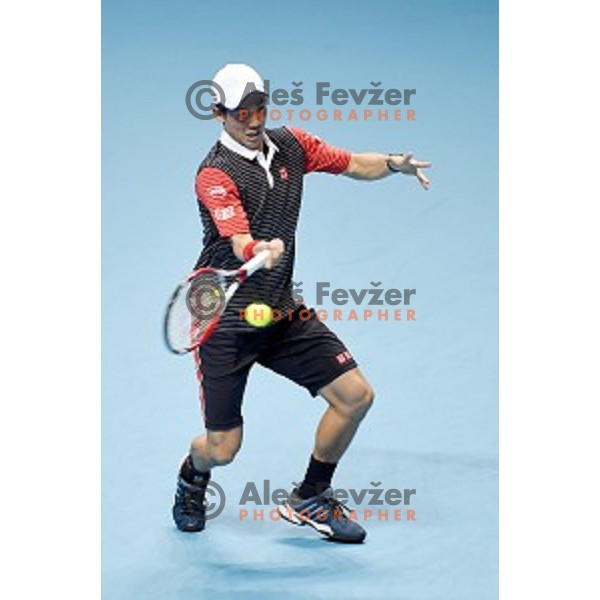 Kei Nishikori (JPN)at ATP finals tennis tournament in O2 Arena, London, Great Britain, November 16, 2013