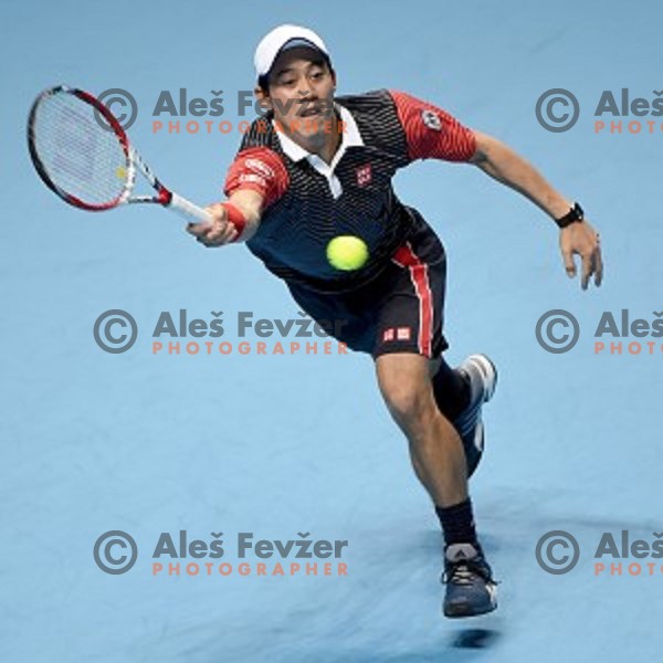 Kei Nishikori (JPN)at ATP finals tennis tournament in O2 Arena, London, Great Britain, November 16, 2013