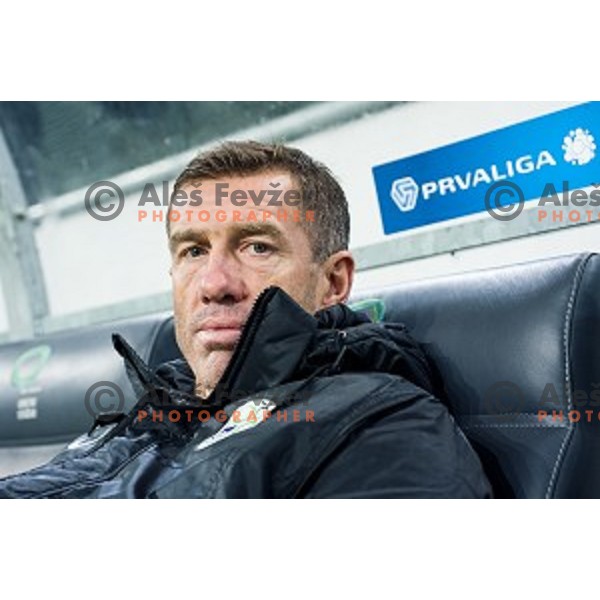 Srecko Katanec in action during football match Slovenia - Colombia, Src Stozice, Ljubljana, Slovenia, 18.11.2014