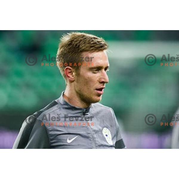 Robert Beric in action during football match Slovenia - Colombia, Src Stozice, Ljubljana, Slovenia, 18.11.2014