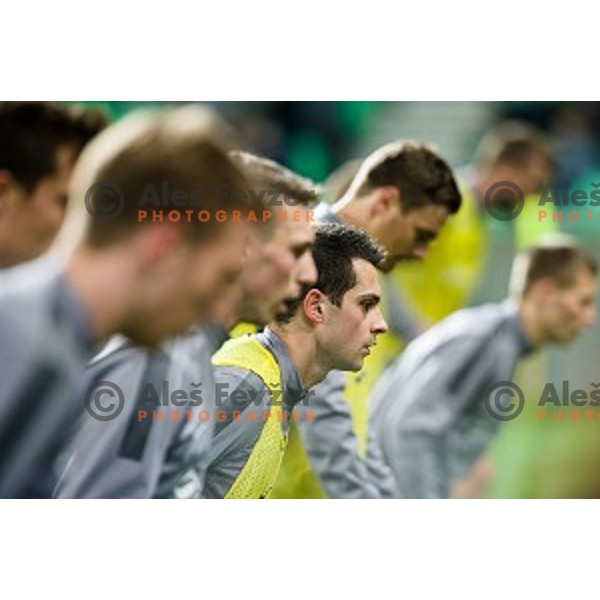 Miral Samardzic in action during football match Slovenia - Colombia, Src Stozice, Ljubljana, Slovenia, 18.11.2014