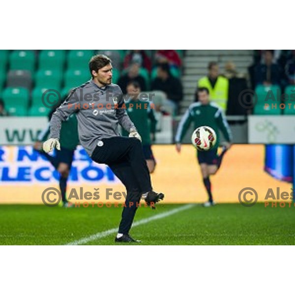 Vid Belec in action during football match Slovenia - Colombia, Src Stozice, Ljubljana, Slovenia, 18.11.2014