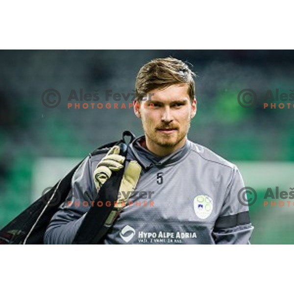 Vid Belec in action during football match Slovenia - Colombia, Src Stozice, Ljubljana, Slovenia, 18.11.2014