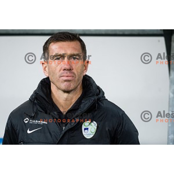 Speck Katanec in action during football match Slovenia - Colombia, Src Stozice, Ljubljana, Slovenia, 18.11.2014