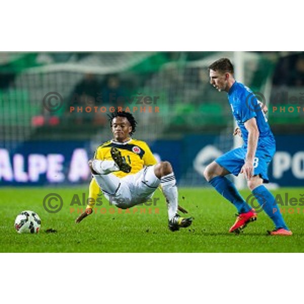 Rajko Rotman in action during football match Slovenia - Colombia, Src Stozice, Ljubljana, Slovenia, 18.11.2014