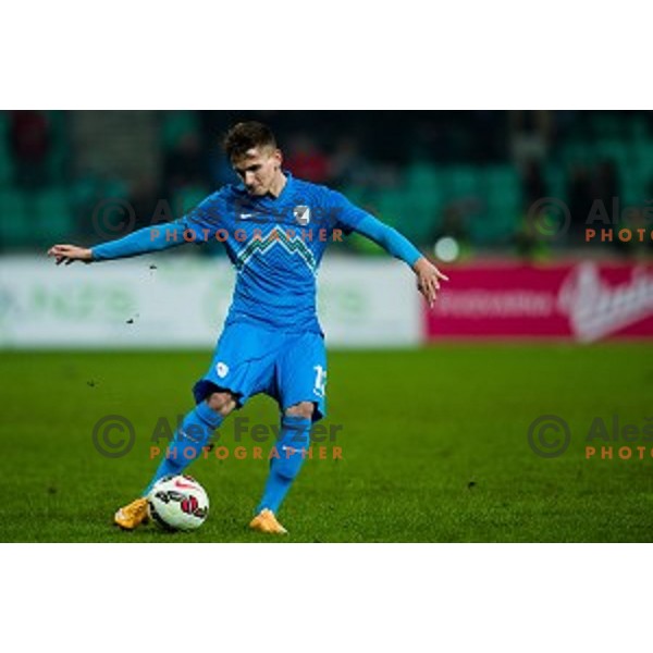 Petar Stojanovic in action during football match Slovenia - Colombia, Src Stozice, Ljubljana, Slovenia, 18.11.2014