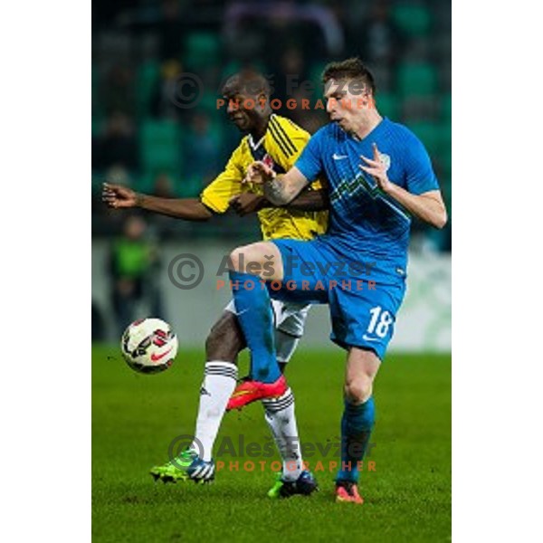 Rajko Rotman in action during football match Slovenia - Colombia, Src Stozice, Ljubljana, Slovenia, 18.11.2014