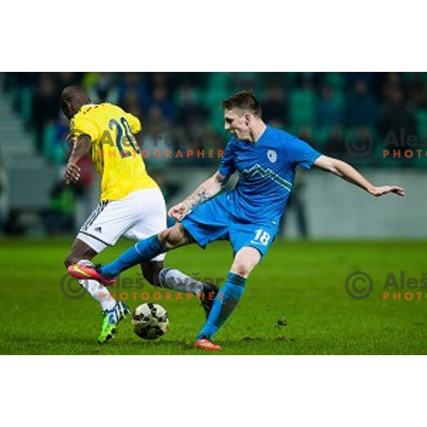 Rajko Rotman in action during football match Slovenia - Colombia, Src Stozice, Ljubljana, Slovenia, 18.11.2014