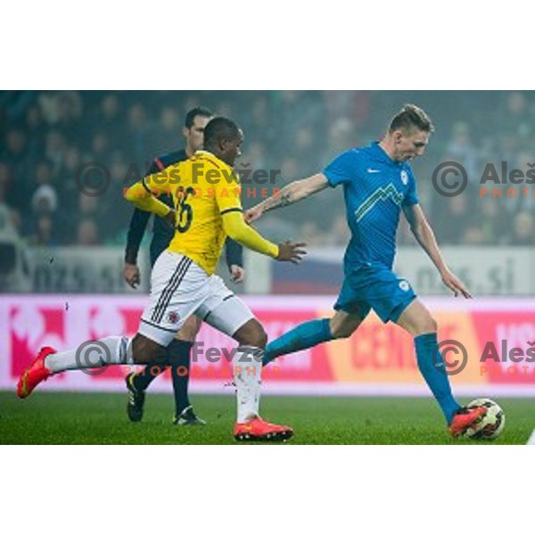 Rajko Rotman in action during football match Slovenia - Colombia, Src Stozice, Ljubljana, Slovenia, 18.11.2014