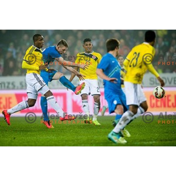 Rajko Rotman in action during football match Slovenia - Colombia, Src Stozice, Ljubljana, Slovenia, 18.11.2014