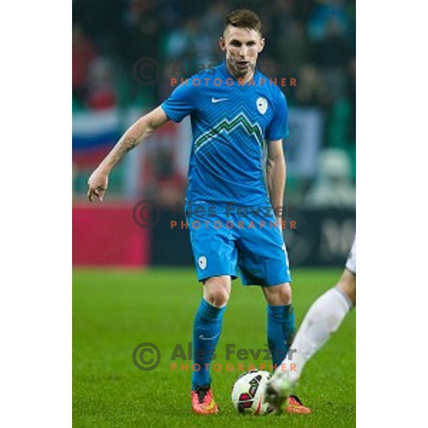 Rajko Rotman in action during football match Slovenia - Colombia, Src Stozice, Ljubljana, Slovenia, 18.11.2014