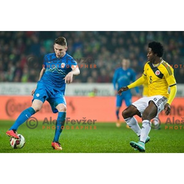 Rajko Rotman in action during football match Slovenia - Colombia, Src Stozice, Ljubljana, Slovenia, 18.11.2014