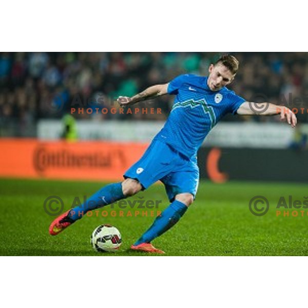 Rajko Rotman in action during football match Slovenia - Colombia, Src Stozice, Ljubljana, Slovenia, 18.11.2014